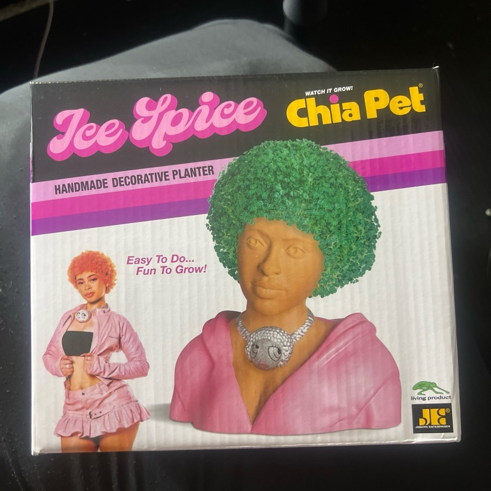 Ice Spice Chia Pet